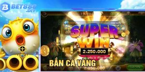 ban-ca-vang