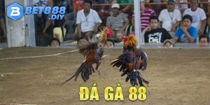 da-ga-88